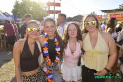 tropical-223